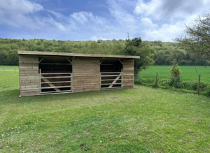 Looking for field with shelter/stables
