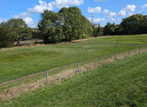 livery yard