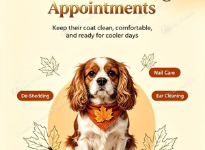 Fur Baby Boutique luxury 1to1 pet grooming