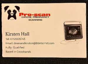 Dog & Cat pregnancy scanning