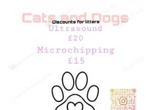 Mircochipping and ultrasound