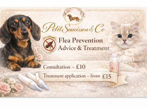 Luxury Pet Services and Grooming