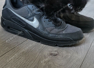Black kitten
