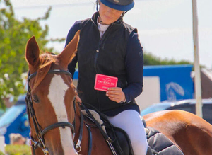16.3hh Chestnut Mare