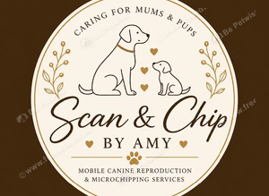 Kittens & Puppies Microchipping
