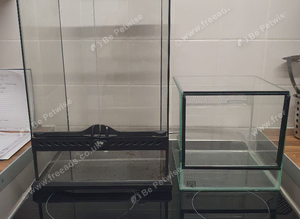 Exo terra + glass spider cube