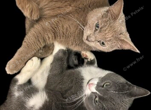 Mother and son to stay together