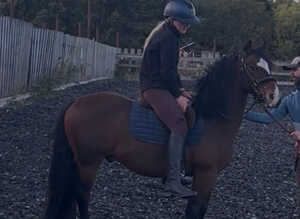 Project pony Jimmy
