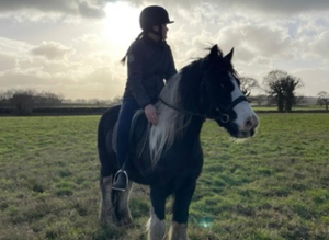 Breaking , schooling and sales livery Manchester