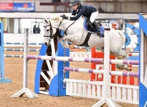 128 Bs starter pony or pony club