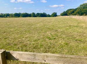 Grazing
