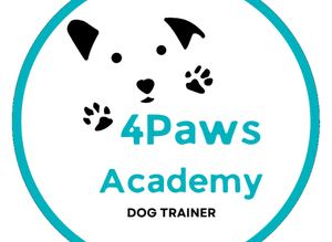Dog training classes