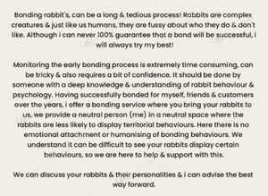 Rabbit Bonding
