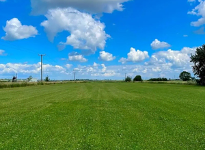 dog walking services in Ely
