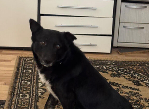 NERO &ndash; From Frozen & Forgotten to Faithful & Loving