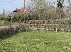 Lovely three acre horse grazing field in Westbury, SY5 9DA