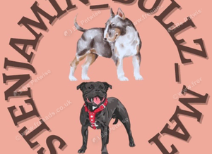 K9 Mobile Services