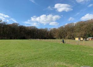 Grass livery near prices risborough