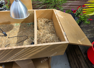 Tortoise table with bulb holder with shade