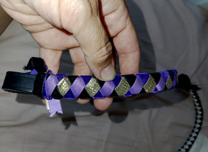 Cob browband bundle