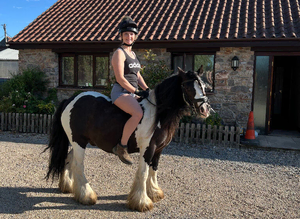 12.2 gelding.