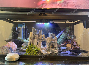 80cm fish tank full set up plus all decor