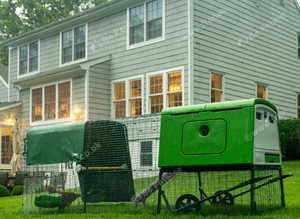 Omlet chicken coops