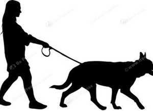 Dog walking