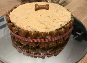 Dog celebration Cakes