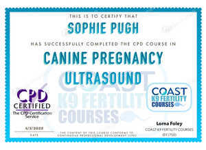 Ultrasound