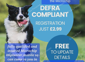 Petscanner mircochip Implanter