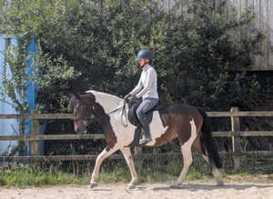 REDUCED - Looking for a new home