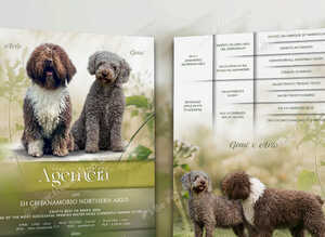 Spanish water dog RKC register