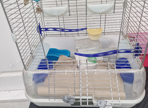 Budgies cage