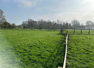 Retirement/ Grazing Livery