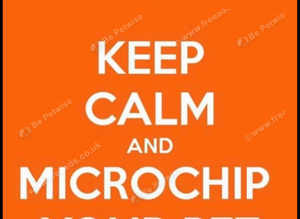 Microchipping