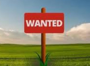 Wanted grazing for ponies or land to rent