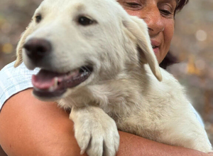 ️ SNOWY &ndash; The Beautiful Girl with the Gentle Soul ️