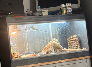 Vivarium brand new