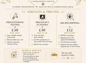 Mobile Microchipping