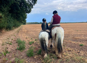 Safe Loving Alround Children's Pony
