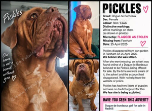 PICKLES