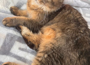 URGENT GIRL NEED LOVING HOME