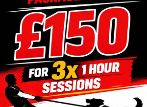 Limited time offer