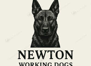 Dog training K9