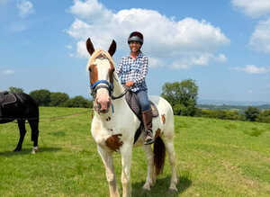 Harley 16.3hh ISH x Cob
