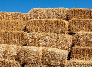 Small bale Straw, Wheat, 2 string.