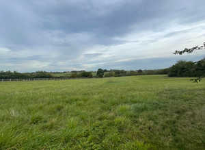 Land to rent