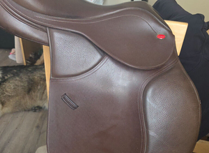 Whitaker saddle