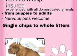 Mobile Microchipping